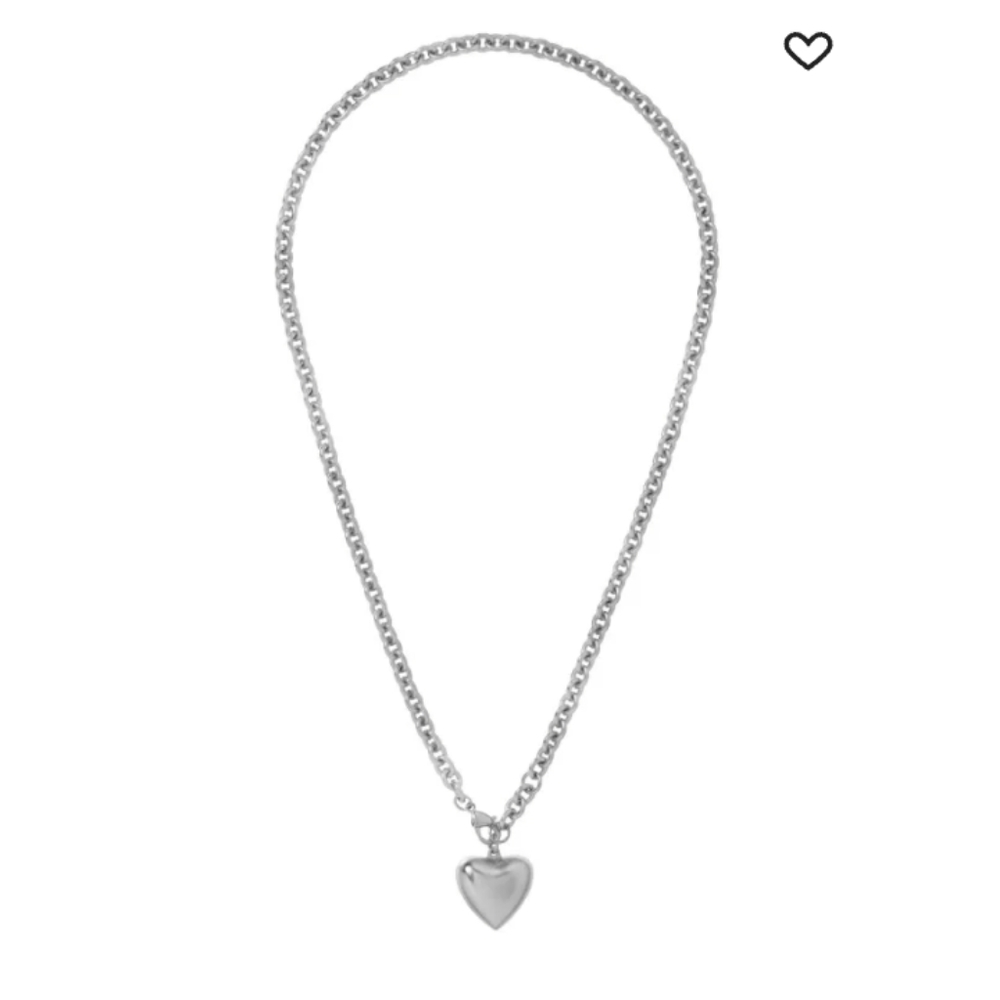 Roxanne Assoulin Elegant Silver Chain Necklace